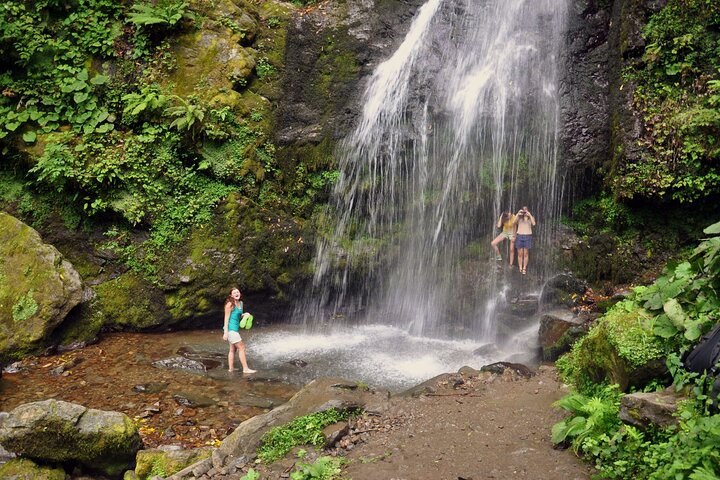 Private Hiking Tour to Mtirala National Park from Batumi