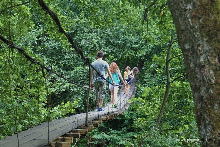 Private Hiking Tour to Mtirala National Park from Batumi