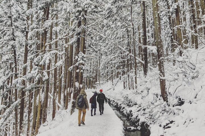 1-Day Snow Monkeys, Zenko-ji Temple & Sake in Nagano