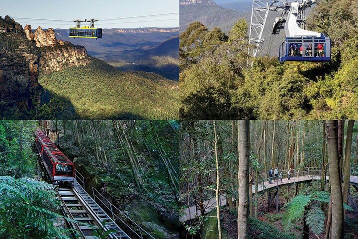 Blue Mountain Small Group Tour All Inclusive