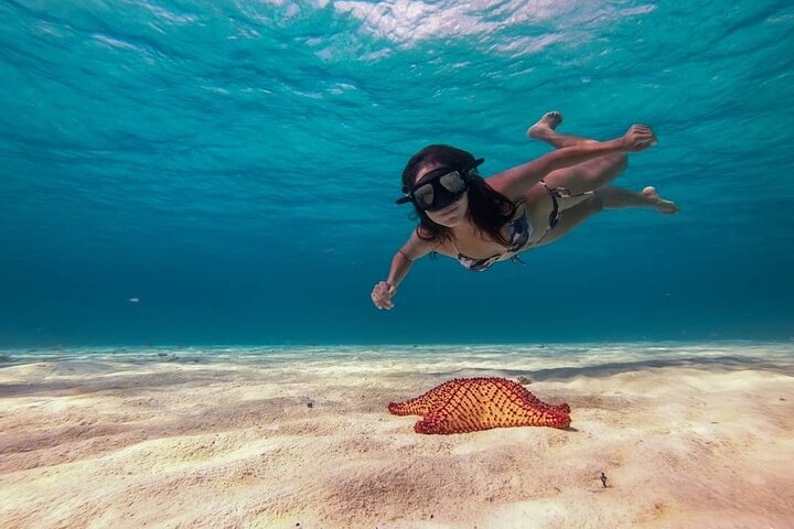 Cozumel Snorkeling Tour: Palancar, Columbia and El Cielo Reefs