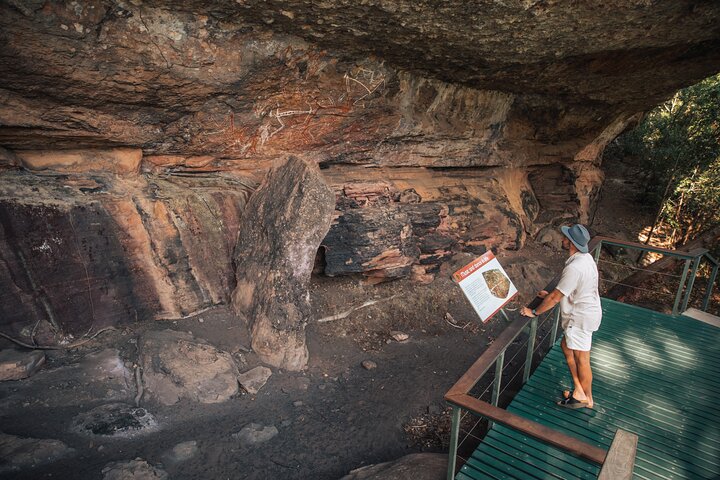 Kakadu National Park Wildlife & Ubirr Rock Art Tour from Darwin