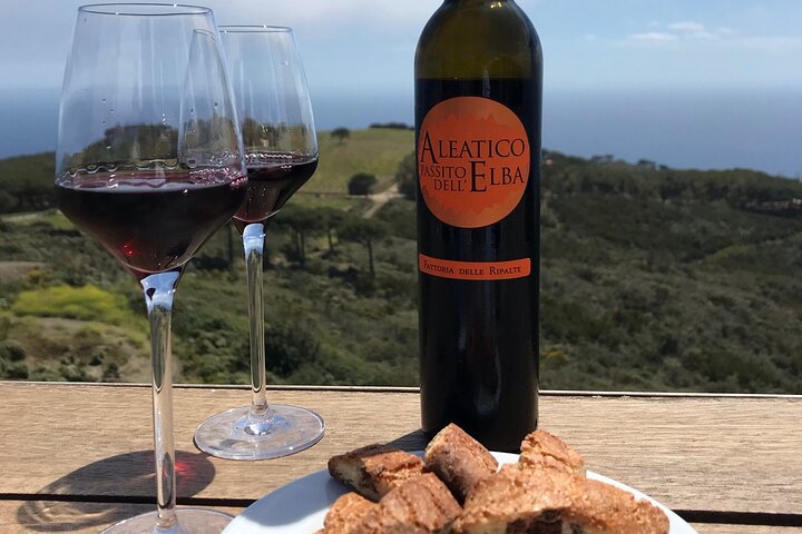 Wine tasting and visit to a design Cellar at Ripalte