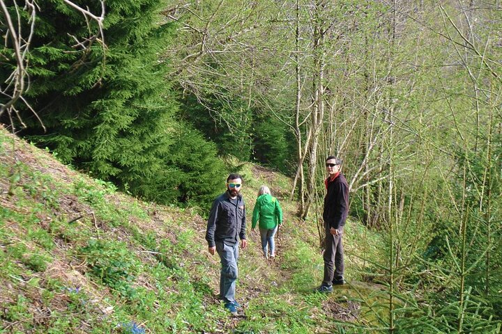 Private Hiking Tour to Machakhela National Park from Batumi