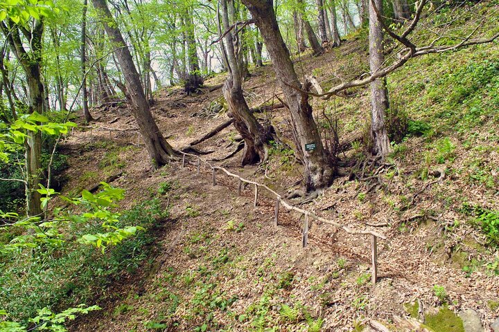 Private Hiking Tour to Machakhela National Park from Batumi