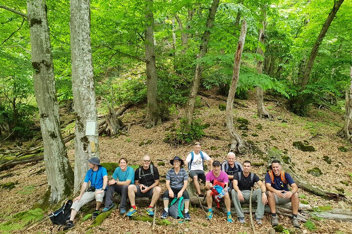 Private Hiking Tour to Machakhela National Park from Batumi