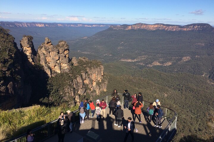 PRIVATE Blue Mountains tour & Koalas, Kangaroos, Cruise plus more