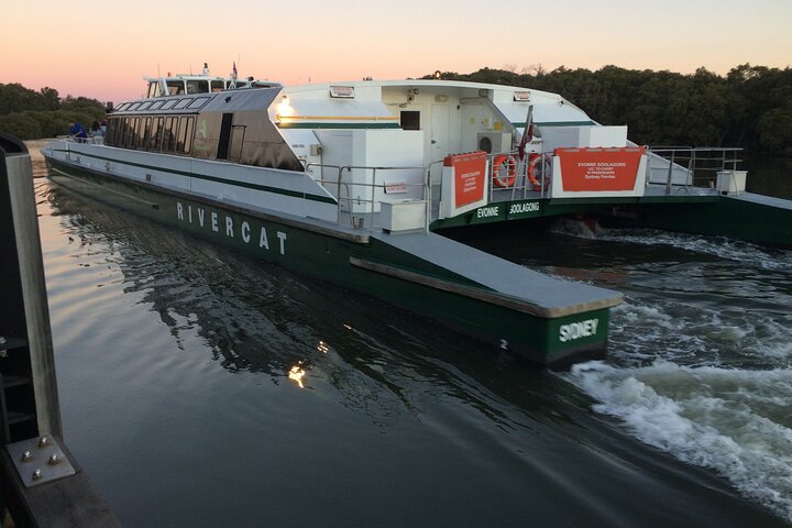 PRIVATE Blue Mountains tour & Koalas, Kangaroos, Cruise plus more