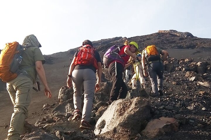 Best of Fogo Island: Hiking & Discovery, 4 Days 3 Nights
