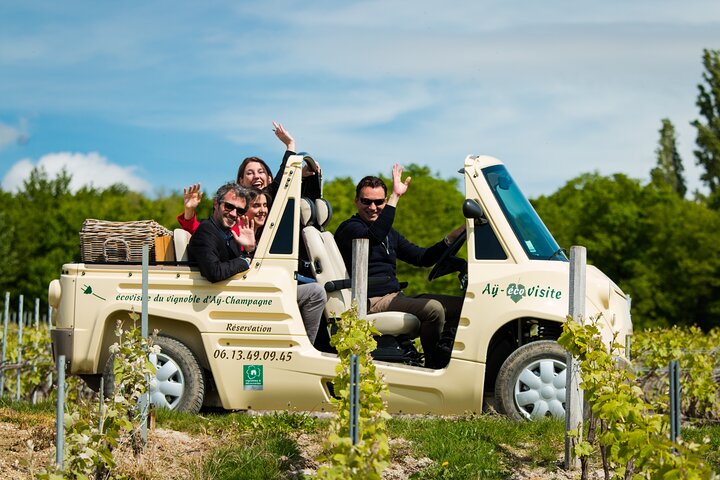 Guided tour of the Aÿ vineyard and Champagne tasting