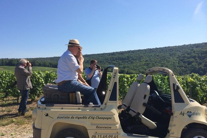 Guided tour of the Aÿ vineyard and Champagne tasting
