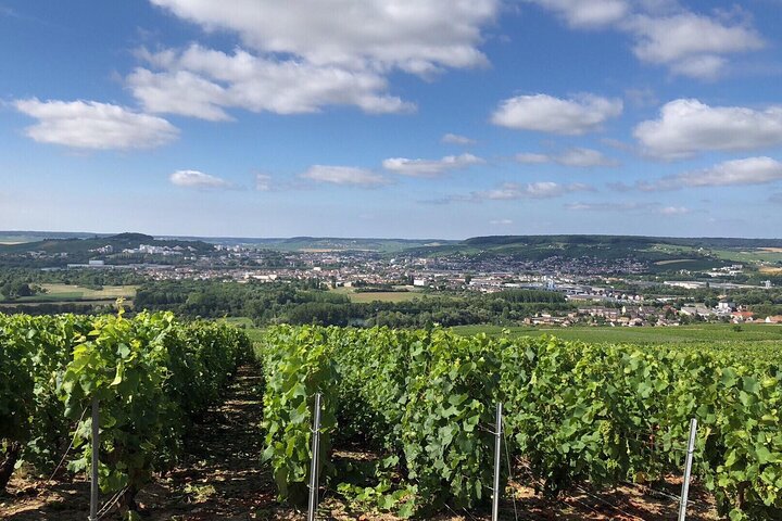 Guided tour of the Aÿ vineyard and Champagne tasting