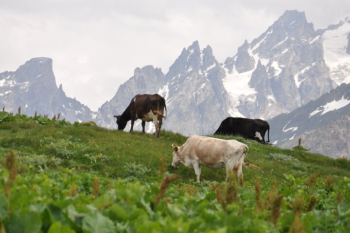 4-Day Svaneti Hiking Tour