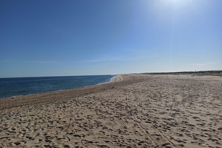 Ria Formosa Natural Park and Islands Boat Cruise from Faro