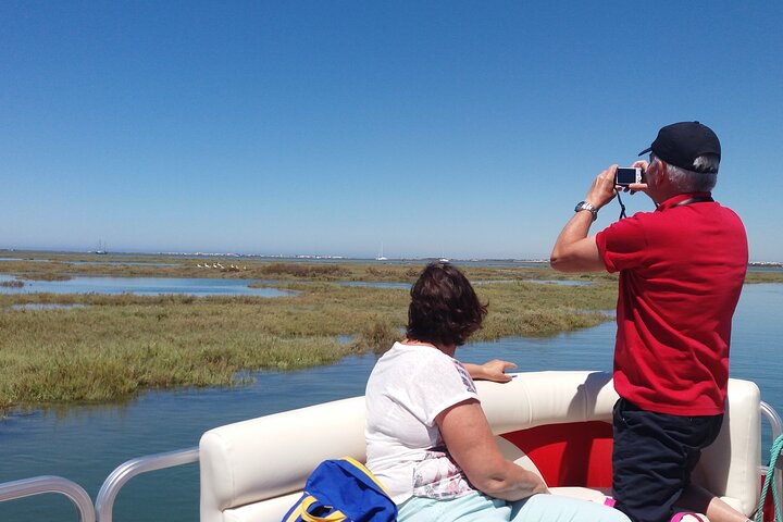 Ria Formosa Natural Park and Islands Boat Cruise from Faro