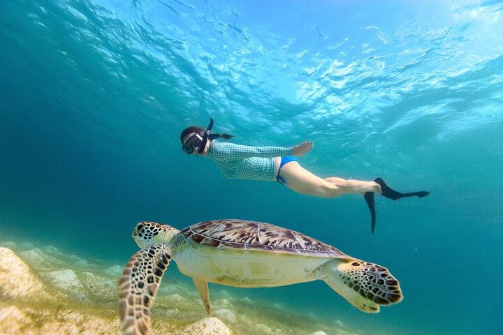 Key Largo Snorkeling Trip to the Florida Reef (Boat Tour)