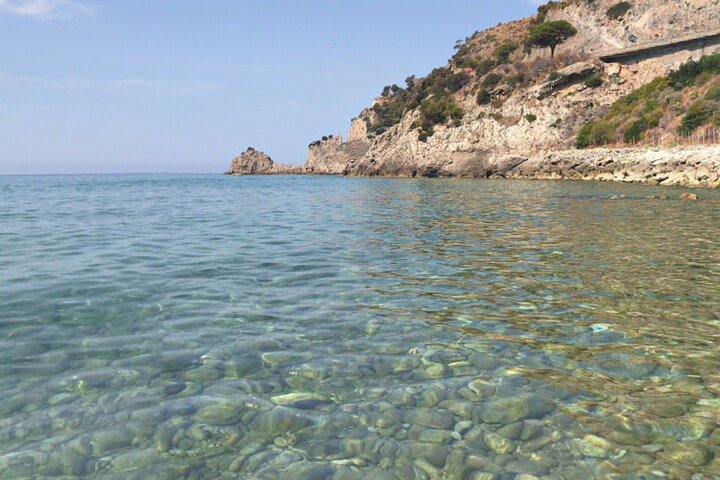 Ulysses Coast Boat Tours