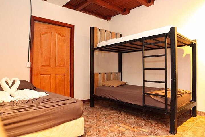 4-day Tortuguero + Pacuare Overnight