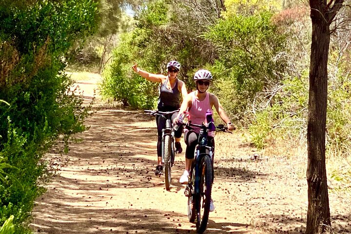Electric Mountain Bikes Rental in Port Lincoln