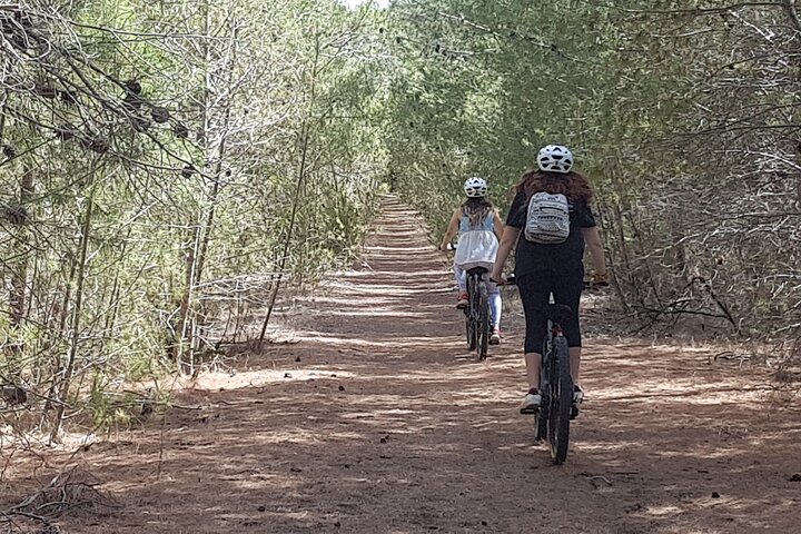 Electric Mountain Bikes Rental in Port Lincoln