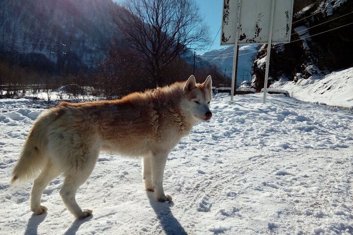 Kazbegi - Kutaisi Shared Transfer