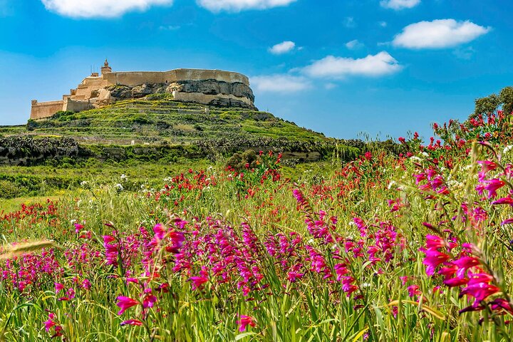 Blue Lagoon, Comino & Gozo Island Cruise - Swim, Slide & Sightsee