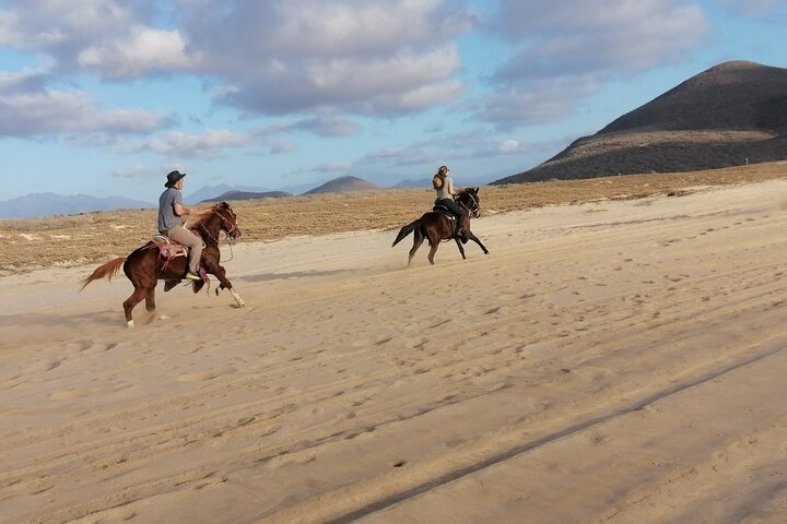 Horseback riding