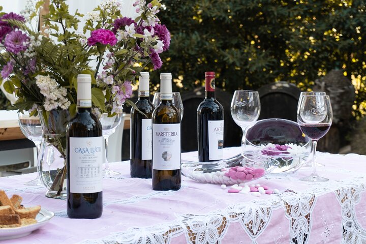 Wine and food tasting in an organic family winery