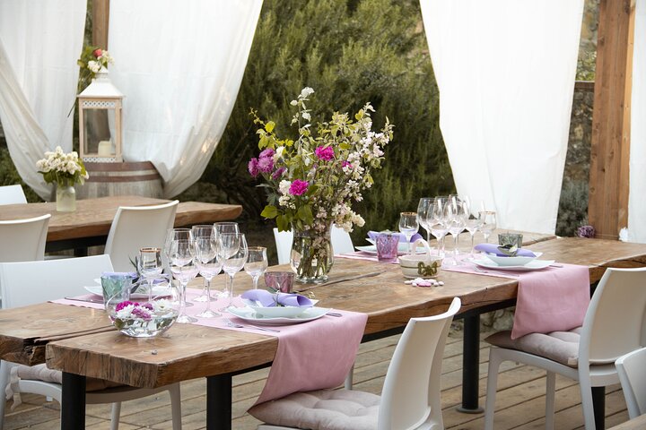 Wine and food tasting in an organic family winery