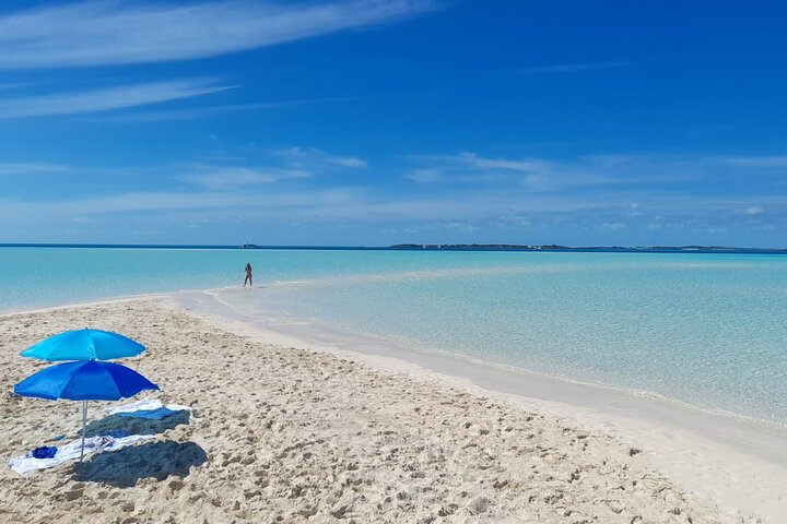 Exuma Island Hopping Swimming Pigs Tour with Lunch from Nassau