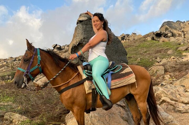 Aruba Ecological & Coastline Horseback Ride with Beach Photo Stop