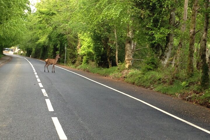 Killarney to Galway