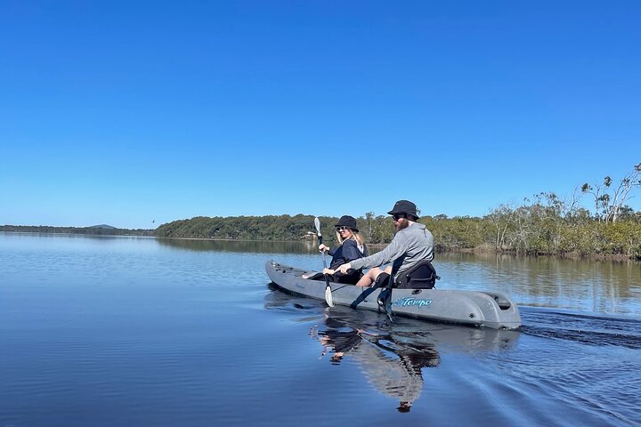 Noosa Everglade Kayak -South/Noosa End - Searching for Stingrays!