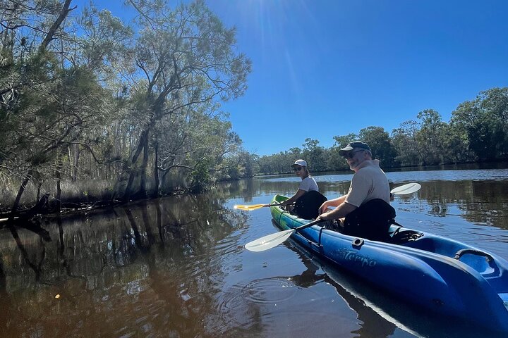 Noosa Everglade Kayak -South/Noosa End - Searching for Stingrays!