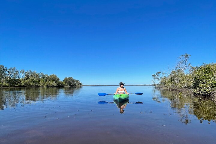 Noosa Everglade Kayak -South/Noosa End - Searching for Stingrays!