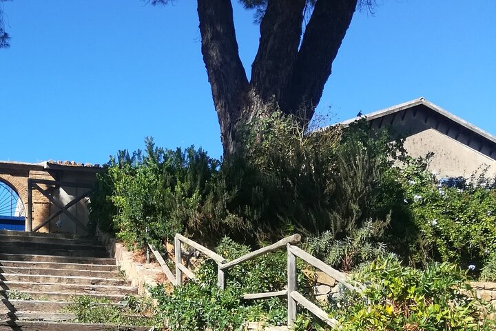 Cooking Class in a countryhouse near Cefalu'