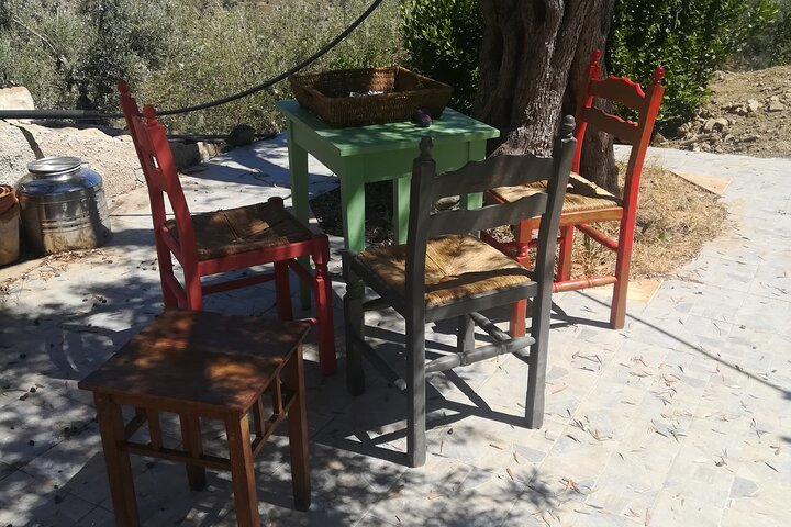 Cooking Class in a countryhouse near Cefalu'