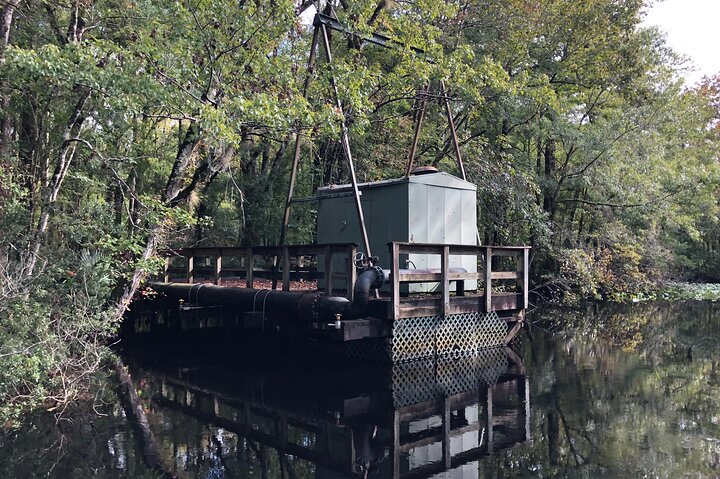 Airboat Adventure in Saint Augustine with a Guide