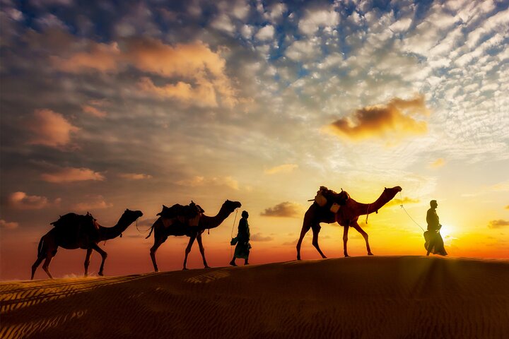 Sunset or Sunrise Camel ride in the Sahara Desert of Douz