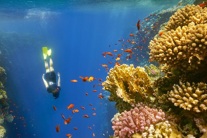 Blue Hole Snorkeling Tour from Dahab with Lunch & Hotel Transfers