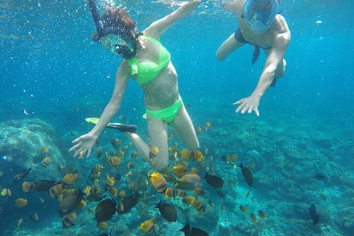 Bali Blue Lagoon Snorkeling with Lunch & Private Hotel Transfer