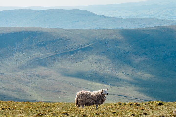 Brecon Beacons Tour App, Hidden Gems Game and Big Britain Quiz (7 Day Pass) UK