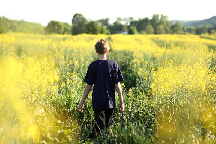 Norfolk Tour App, Hidden Gems Game and Big Britain Quiz (7 Day Pass) UK