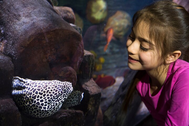 SEA LIFE Hannover Ticket