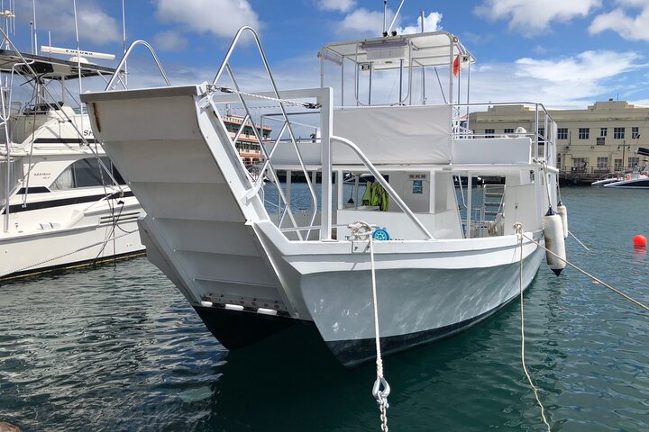 Barbados Turtle and Shipwreck Snorkel Adventure