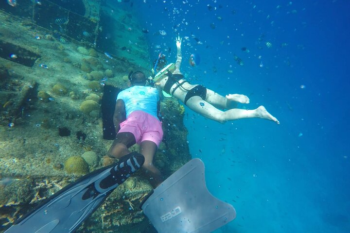 Barbados Island Tour, Monkey Watching & Swimming with Turtles