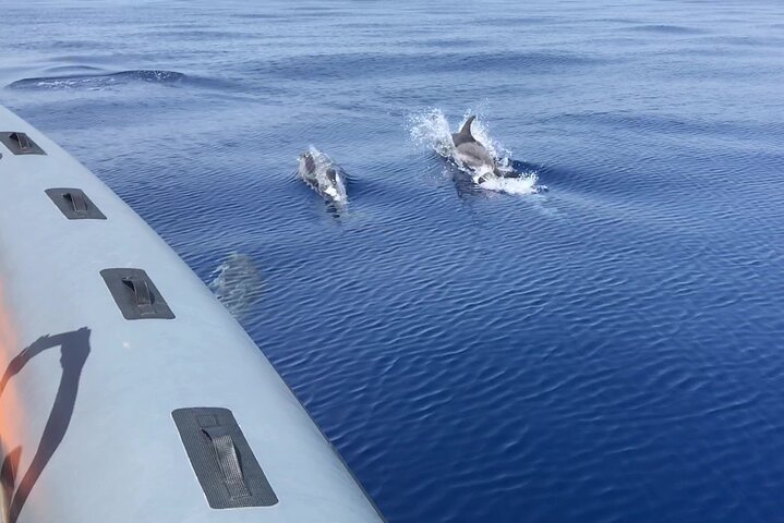 Tropea to Capo Vaticano, the Best Boat Tour. Max 8-12 Passengers