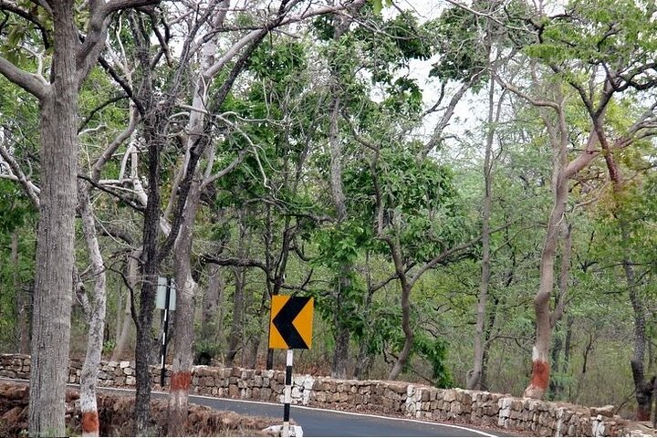 Romantic Pachmarhi Day Tour from Bhopal with Private Car
