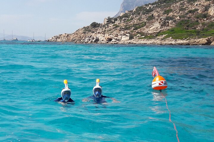 Boat tour to explore the Marine Protected Area of Tavolara