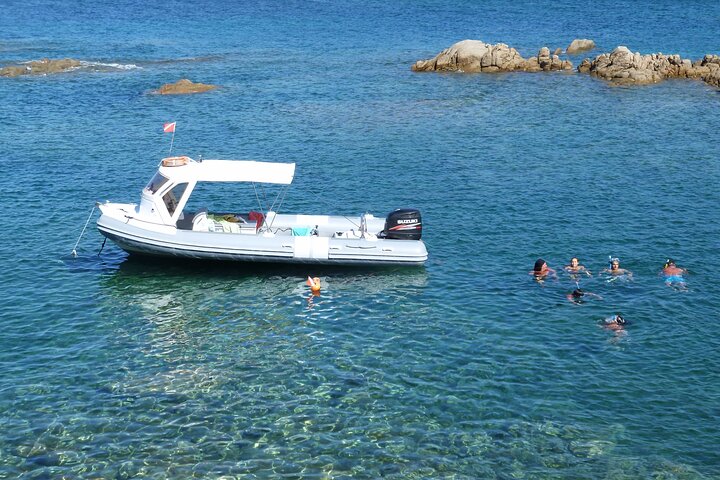 Boat tour to explore the Marine Protected Area of Tavolara